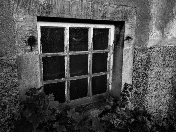 dsc01899_ai